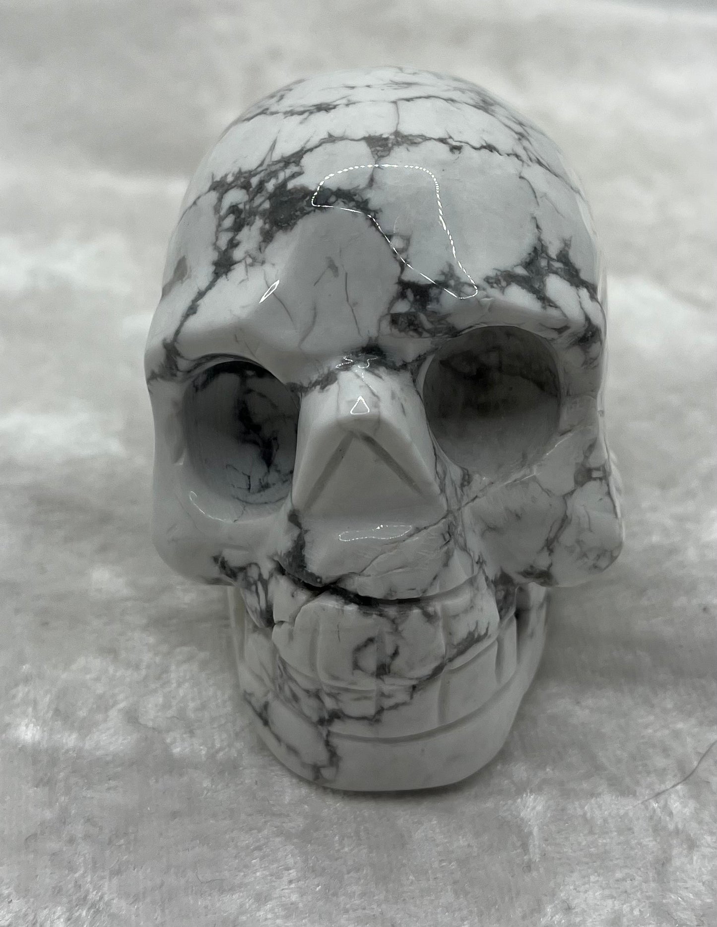 Crâne de Howlite