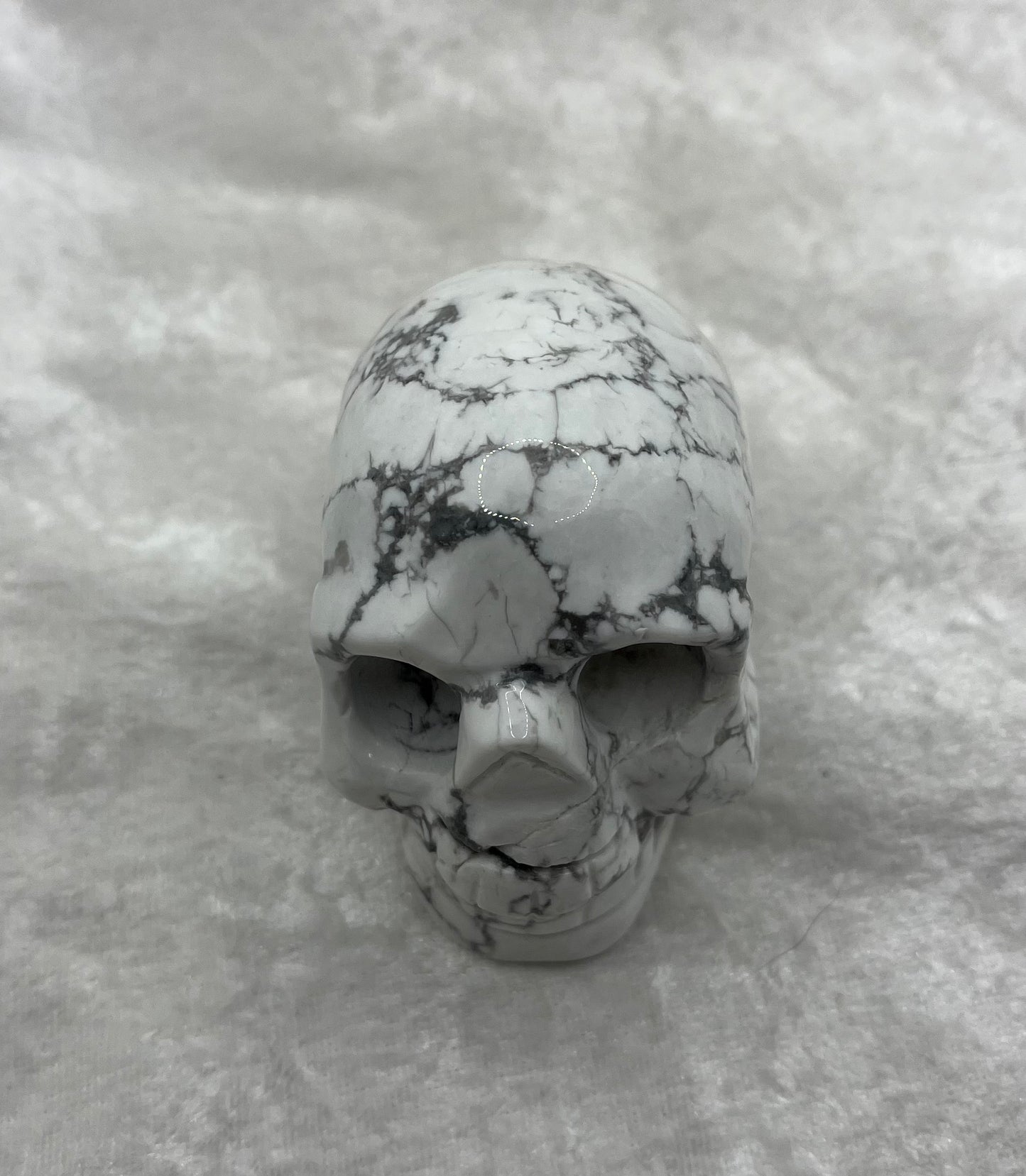 Crâne de Howlite