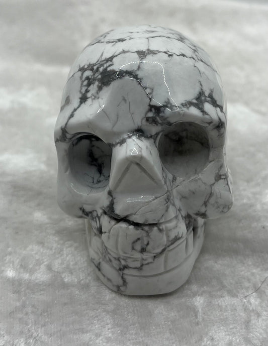 Crâne de Howlite