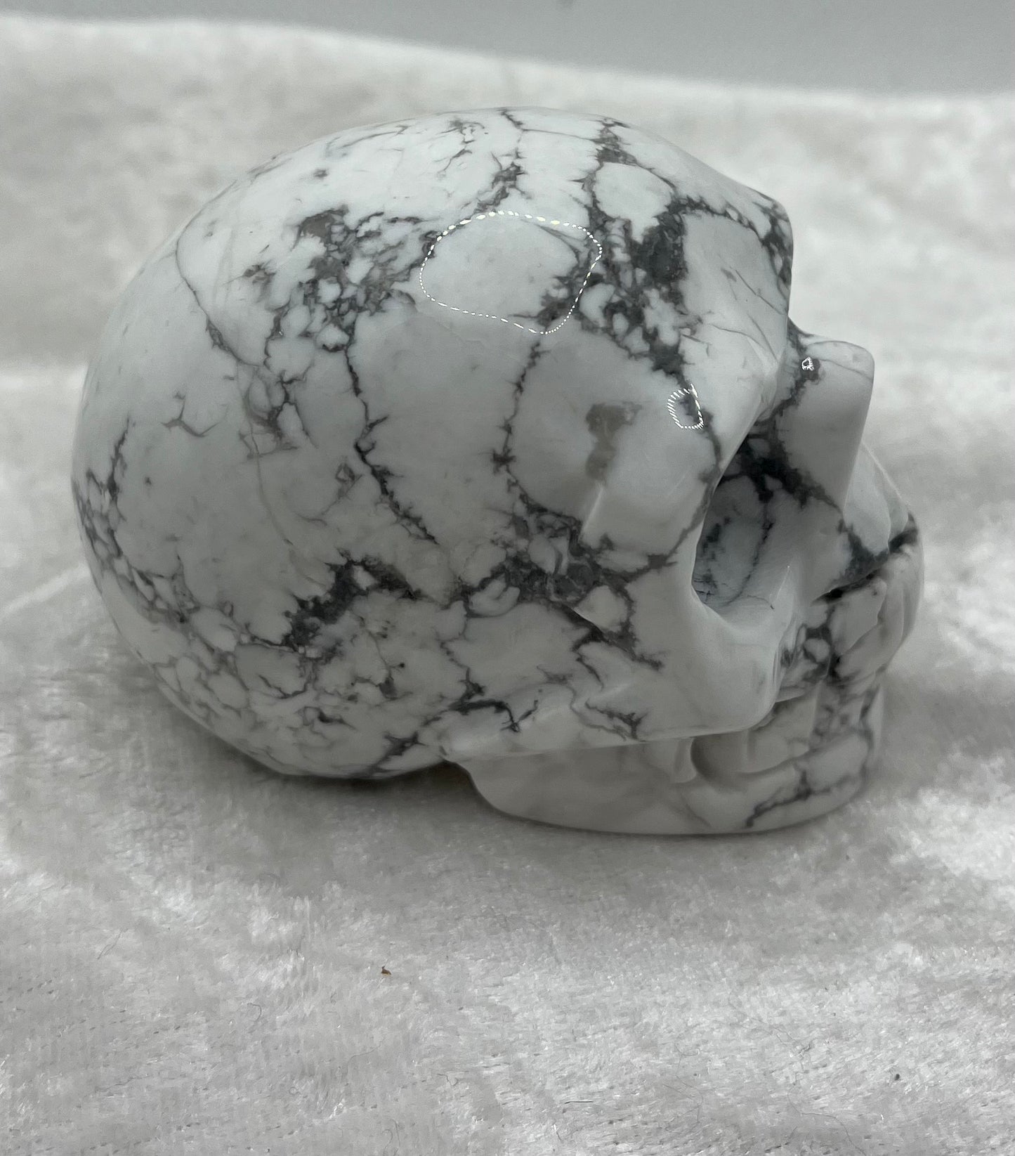 Crâne de Howlite
