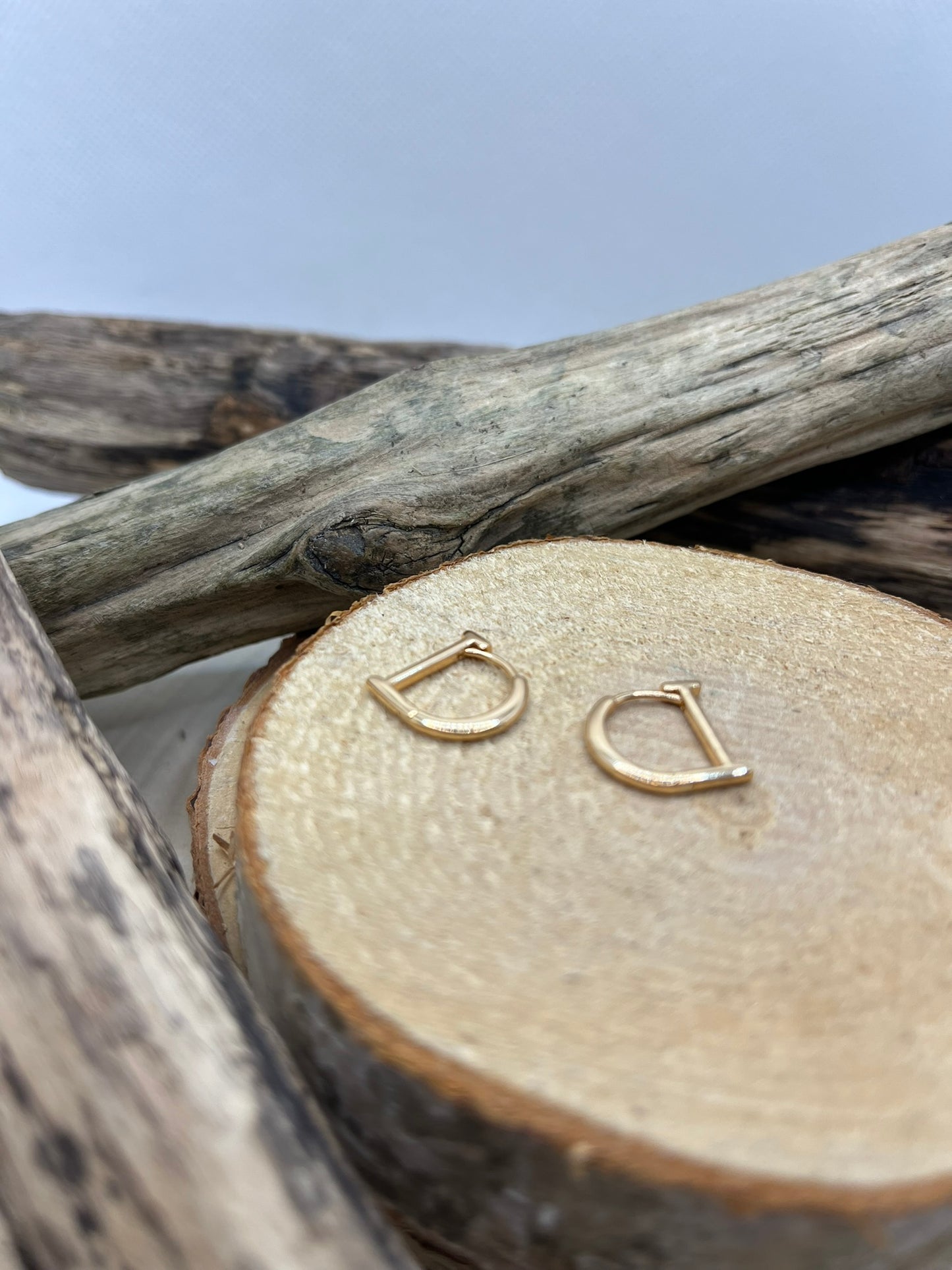 Créoles acier inoxydable doré élégante