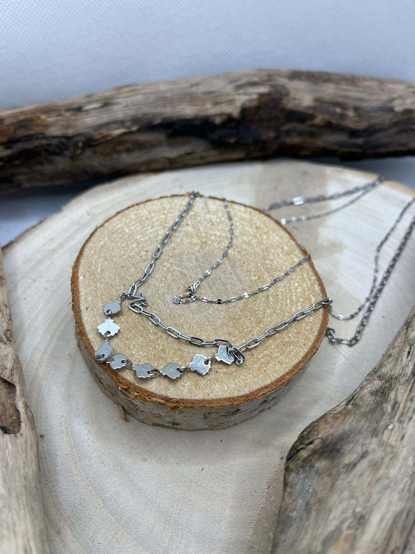 Collier Femme Chic sur 2 chaines - Acier Inoxydable - Doré ou en Argenté